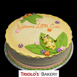 Welcome Little One Baby Shower Cake - Baby Shower Cakes - Triolo's Bakery