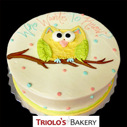 Gender Reveal Who Your Baby Will Be - Baby Shower Cakes - Triolo's Bakery