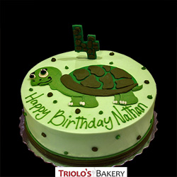 Turtle Birthday Cake