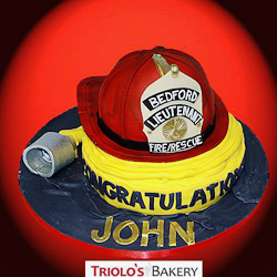 Civil Service Cake Series from Triolo's Bakery