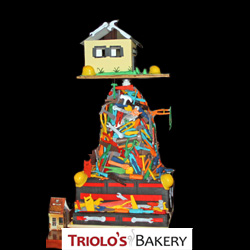 Donated Cakes from Triolo's Bakery