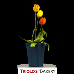 Trio of Tulips - Edible Centerpiece Collection