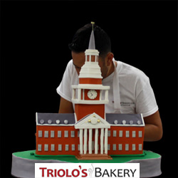 High point University Graduation Cake