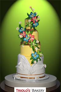 Breaking Tradition Wedding Cake - Triolo's Bakery