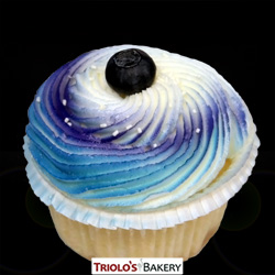 Blueberry Creamcheese Cupcakes - Triolo's Bakery
