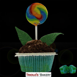 Earth Day Gourmet Cupcakes - Triolo's Bakery