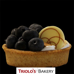 Blueberry Smore from Triolo's Bakery
