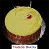 Da Vinci Cake Signature Entremet Series from Triolo's Bakery