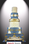 Elegant Theatre Wedding Cake - Triolo's Bakery