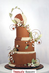 Herbs and Seeds Wedding Cake - Triolo's Bakery