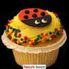LAdybug Gourmet Cupcakes - Triolo's Bakery