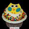 Owl Face Gourmet Cupcake - Triolo's Bakery